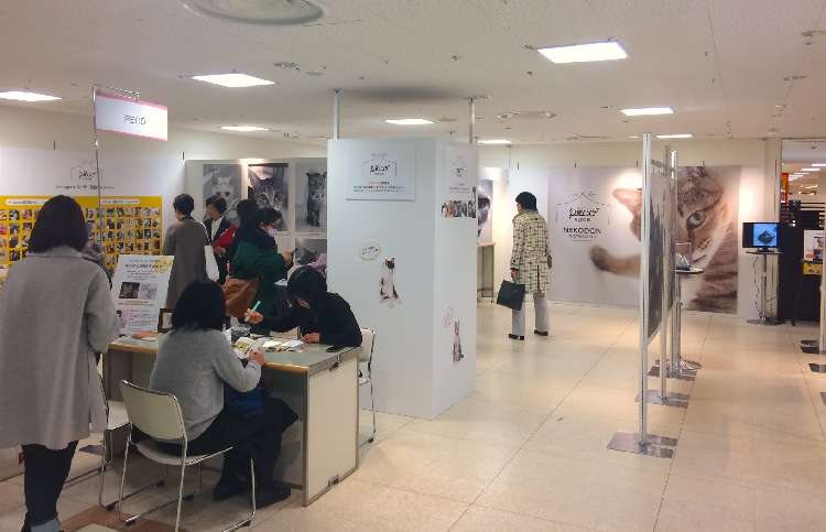 会場の様子②