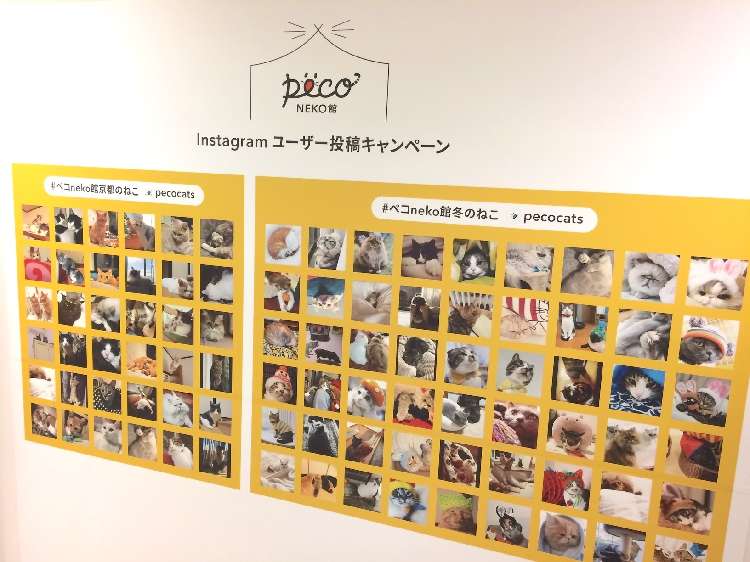 Instagramユーザー投稿キャンペーン