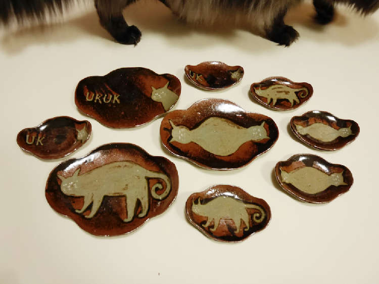 動物,犬,猫,しつけ,飼い方,育て方,病気,健康