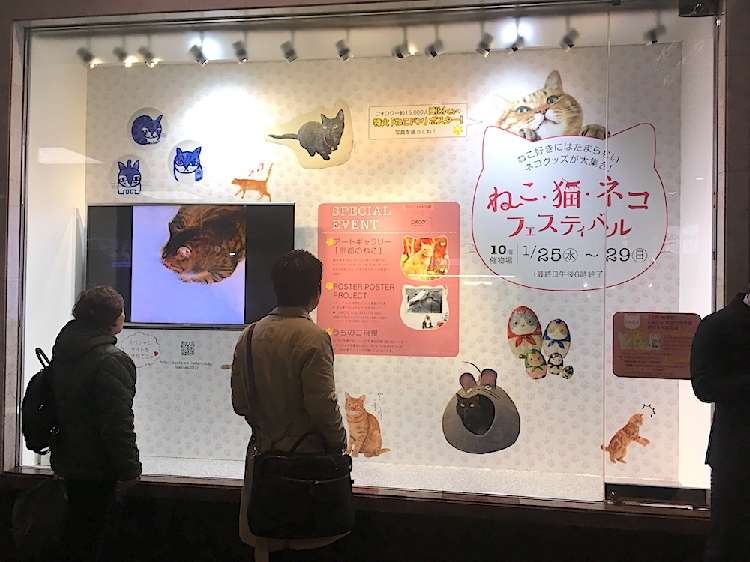 イベント専用ディスプレイ