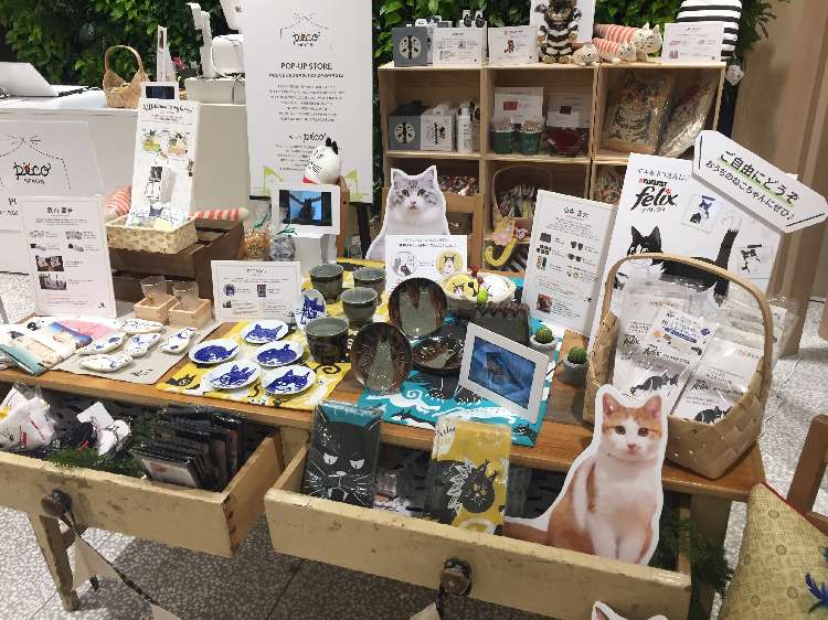 動物,犬,猫,しつけ,飼い方,育て方,病気,健康