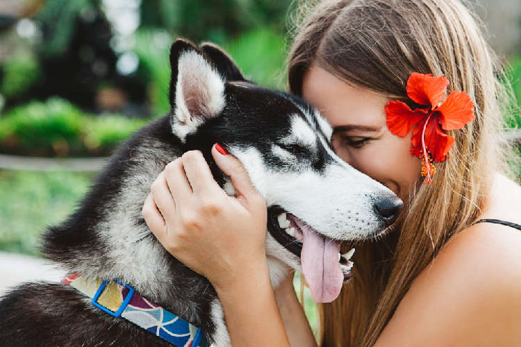 動物,犬,猫,しつけ,飼い方,育て方,病気,健康