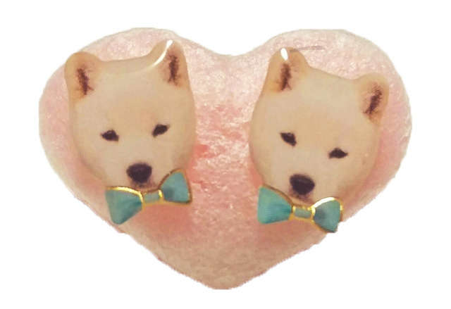 ピアス白柴犬ちゃん