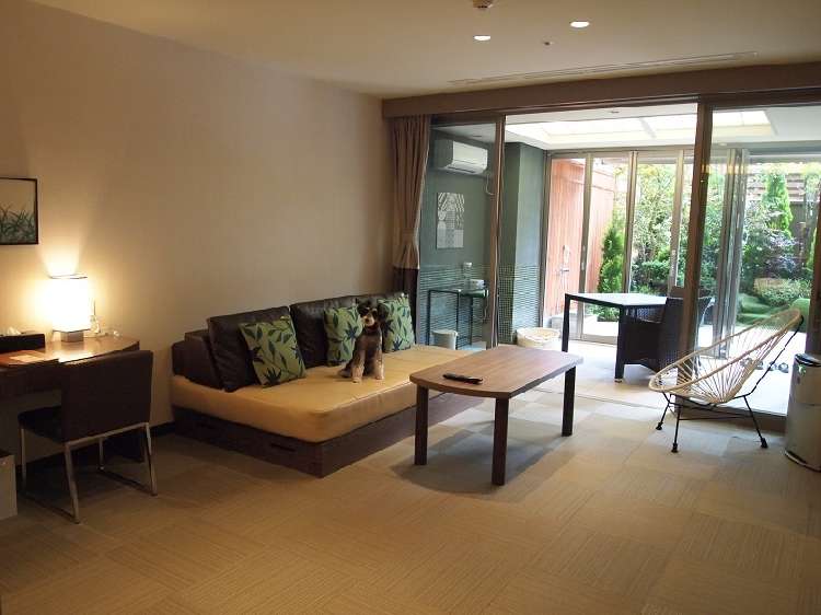 広い! 綺麗! なんでしょう、このお部屋は!!!