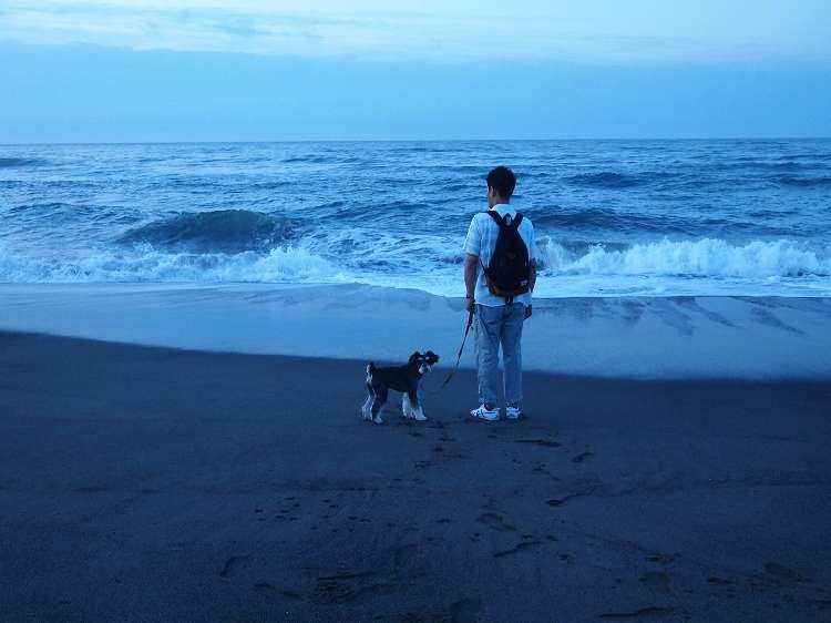 日の出ちょっと前はひんやりした青い空気