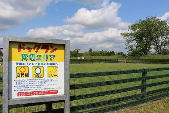 動物,犬,猫,しつけ,飼い方,育て方,病気,健康