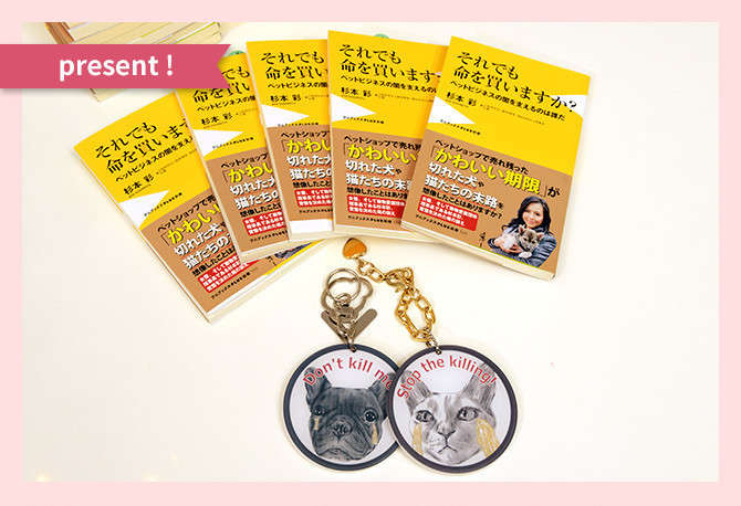 動物,犬,猫,しつけ,飼い方,育て方,病気,健康