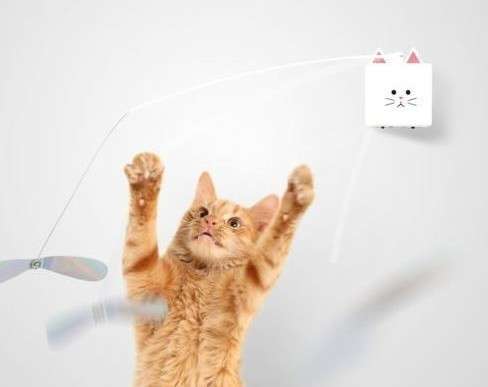 動物,犬,猫,しつけ,飼い方,育て方,病気,健康