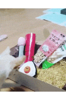 めいちゃん