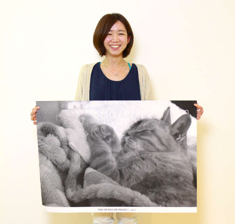 動物,犬,猫,しつけ,飼い方,育て方,病気,健康