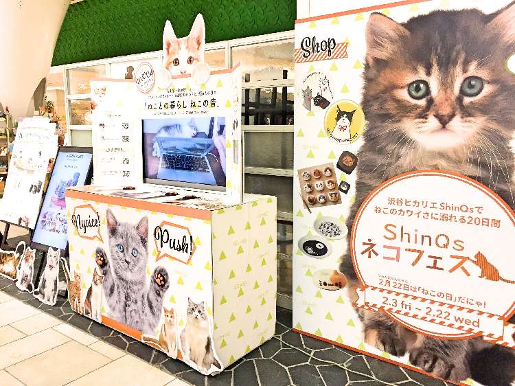 動物,犬,猫,しつけ,飼い方,育て方,病気,健康