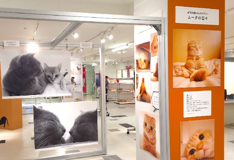 【イベントレポート・後編】吉祥寺PARCOで開催中の「PECO NEKO館」最新情報まとめ