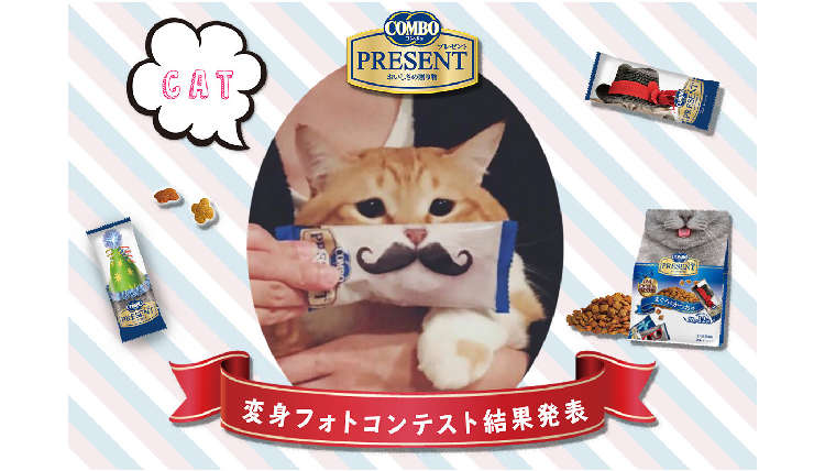 キャットフードのパッケージで猫ちゃん大変身!?コンボ プレゼント変身フォトコンテストの入賞者発表♡