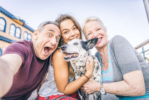 動物,犬,猫,しつけ,飼い方,育て方,病気,健康