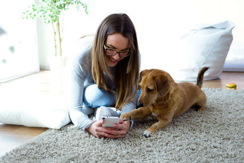 動物,犬,猫,しつけ,飼い方,育て方,病気,健康