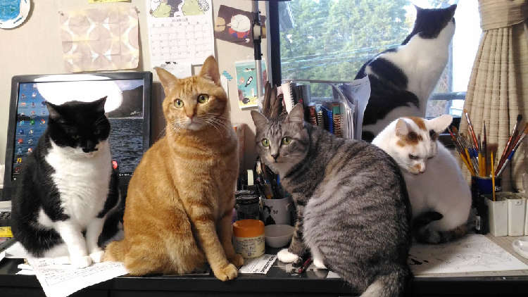 動物,犬,猫,しつけ,飼い方,育て方,病気,健康