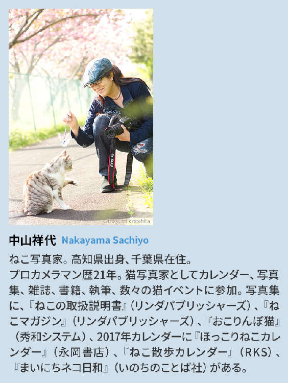 動物,犬,猫,しつけ,飼い方,育て方,病気,健康