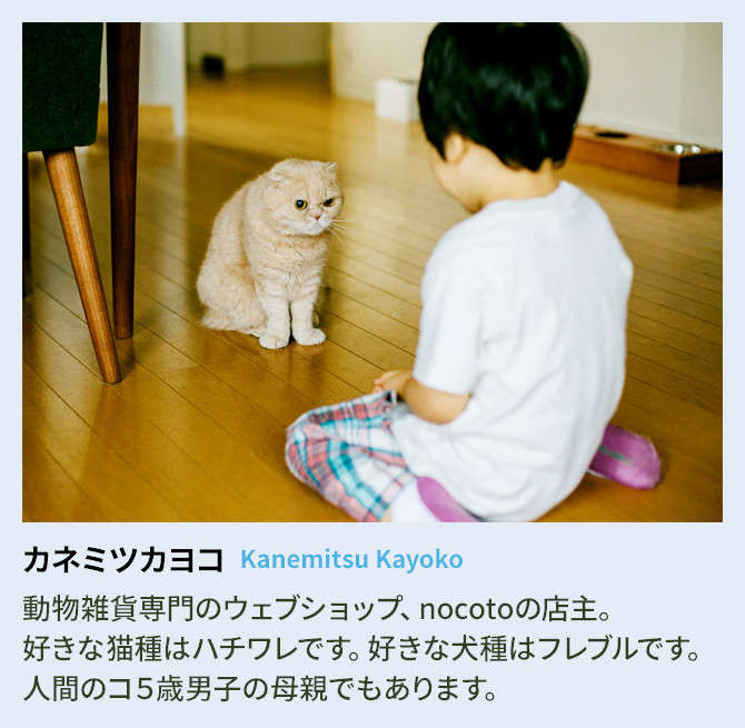 動物,犬,猫,しつけ,飼い方,育て方,病気,健康