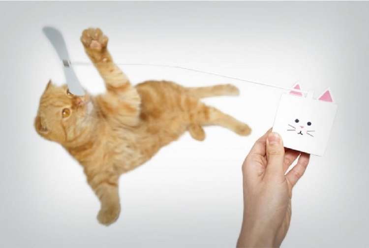 ネコちゃんが自分で遊べる! スマートネコじゃらし「CatchCats」でもっと楽しい毎日を♪