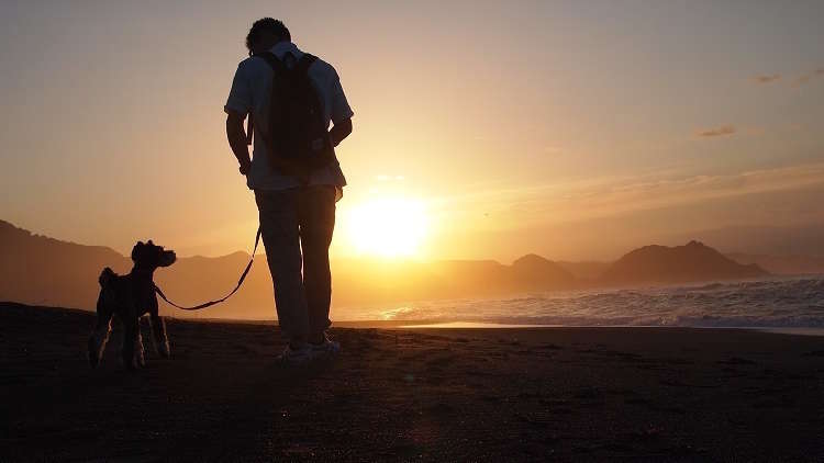 愛犬と特別なひと時を。都心から2時間で、こんなにステキな「思い出づくり」ができた♫