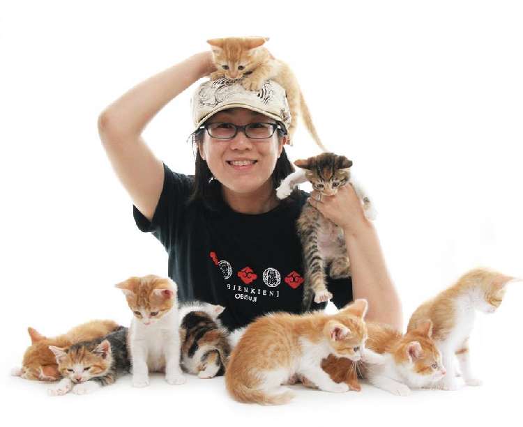 ねこカレンダーの撮影やねこ写真集の発刊など、「ねこ写真家」として活躍する中山祥代さん