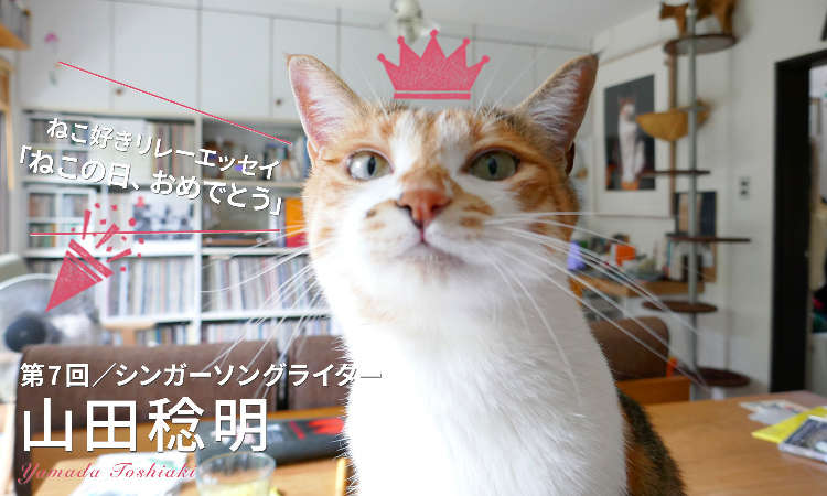 【ねこ好きリレーエッセイ】毎日が猫の日