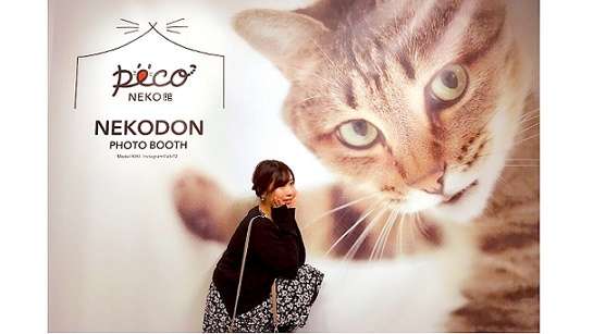 【イベントレポート・前半】吉祥寺PARCOで開催中の「PECO NEKO館」最新情報まとめ