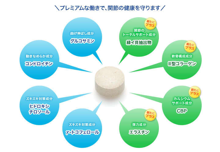 動物,犬,猫,しつけ,飼い方,育て方,病気,健康