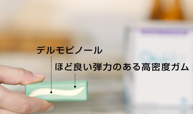 動物,犬,猫,しつけ,飼い方,育て方,病気,健康