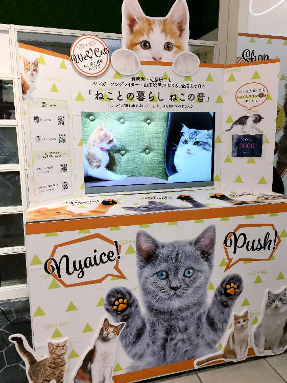動物,犬,猫,しつけ,飼い方,育て方,病気,健康