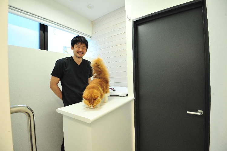 動物,犬,猫,しつけ,飼い方,育て方,病気,健康