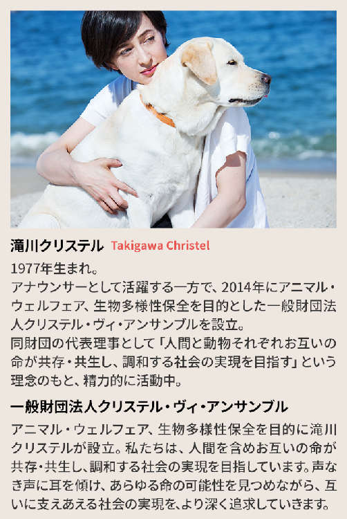 動物,犬,猫,しつけ,飼い方,育て方,病気,健康