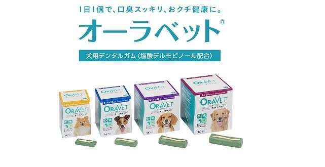ワンちゃんもストレスなくケアできる! 犬用デンタルガム「オーラベット®」