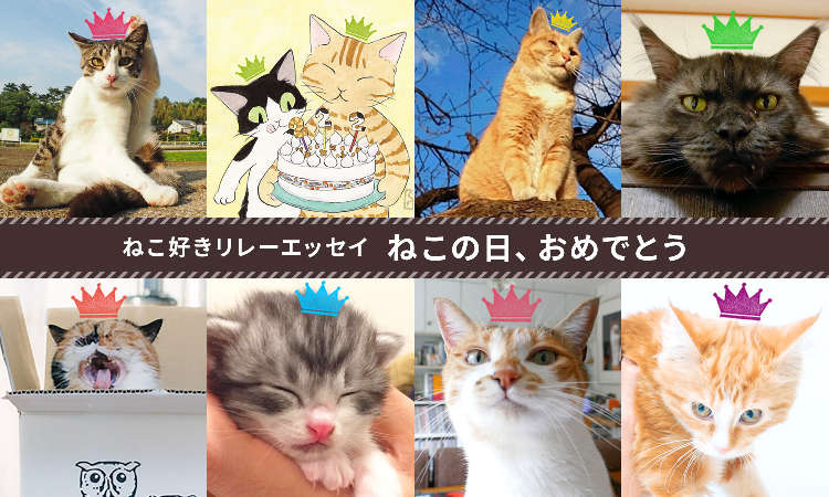 【ねこ好きリレーエッセイ】ねこ好きたちに、おめでとう!