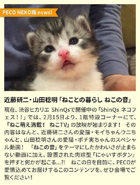 動物,犬,猫,しつけ,飼い方,育て方,病気,健康