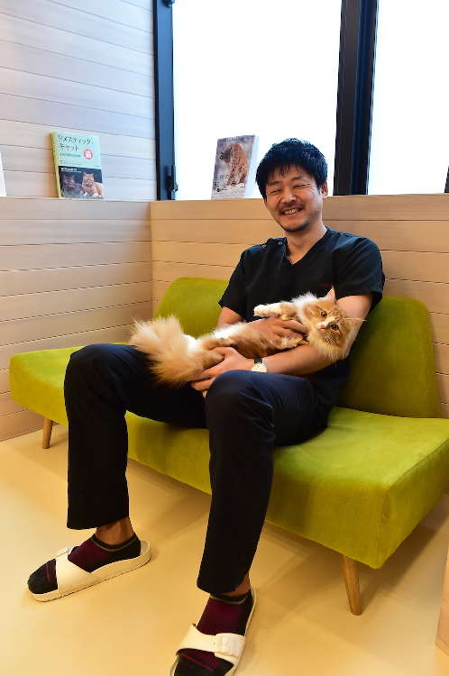 動物,犬,猫,しつけ,飼い方,育て方,病気,健康