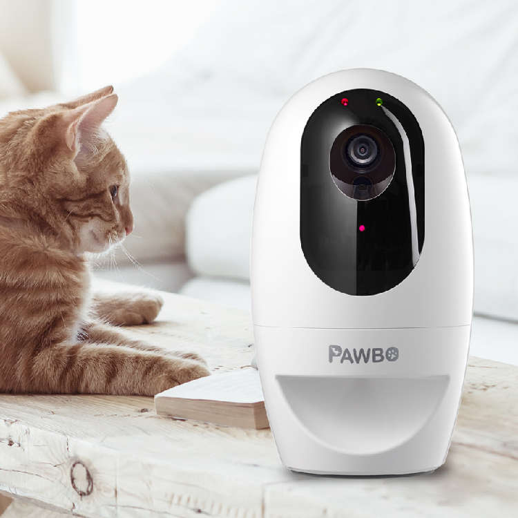 動物,犬,猫,しつけ,飼い方,育て方,病気,健康