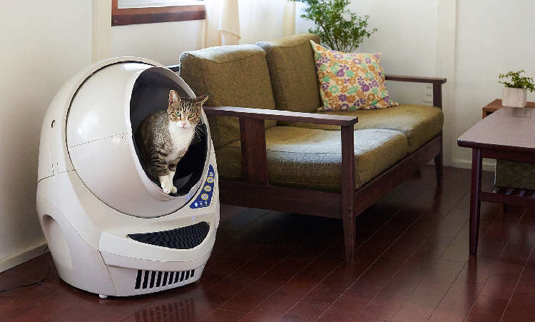 動物,犬,猫,しつけ,飼い方,育て方,病気,健康