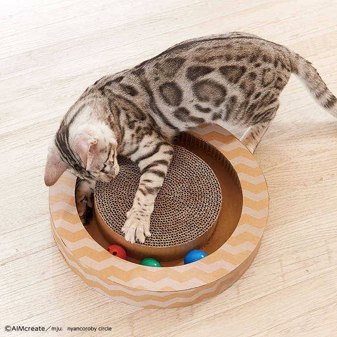 動物,犬,猫,しつけ,飼い方,育て方,病気,健康