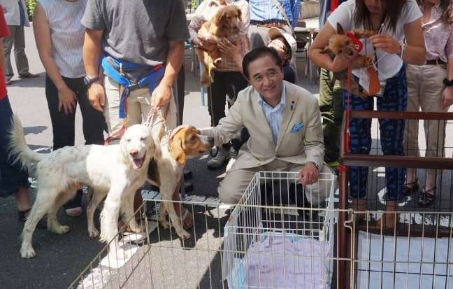 動物,犬,猫,しつけ,飼い方,育て方,病気,健康