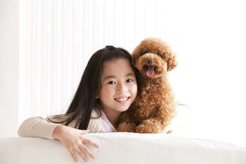 動物,犬,猫,しつけ,飼い方,育て方,病気,健康