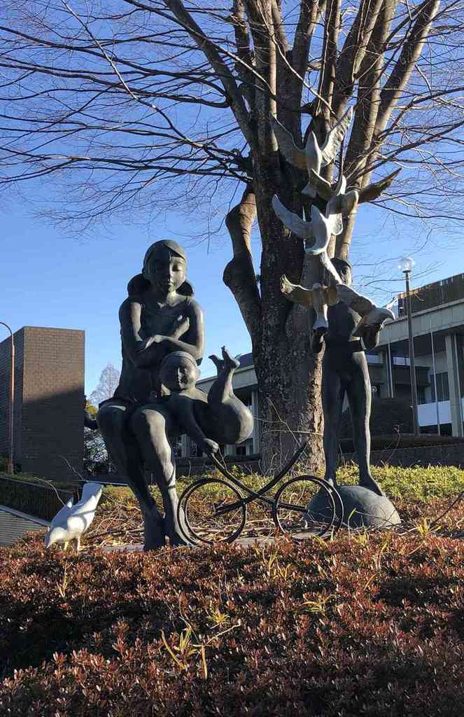 Opg img20180124 8360 15kn5p4.jpg m