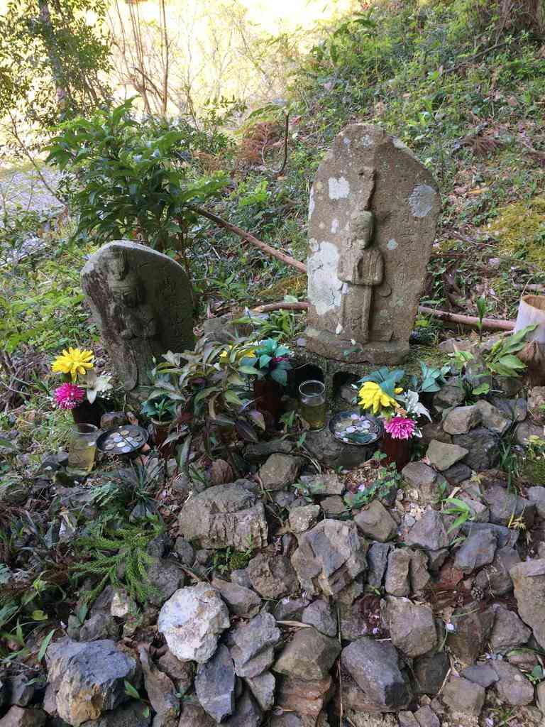 Cf4520c6 4d64 40b6 86c6 18daace568d2.jpeg m