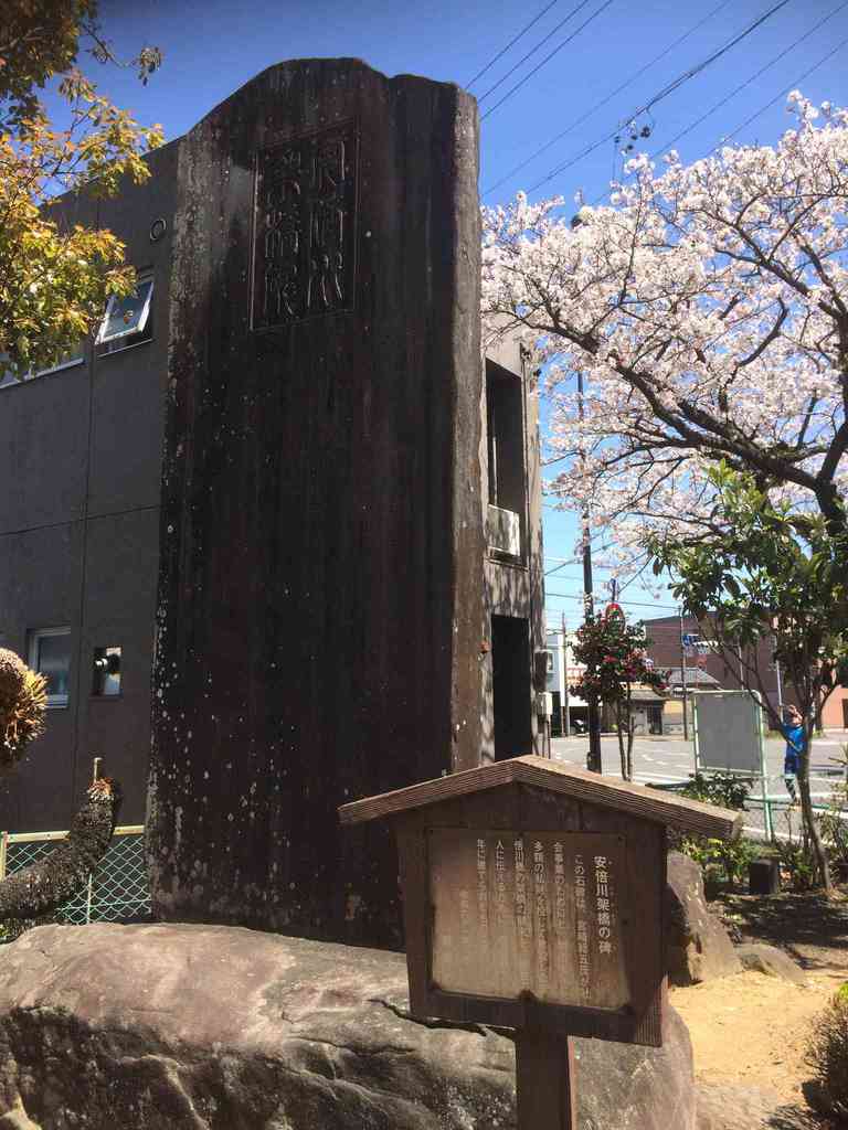 9131cf4e 77f1 49d8 ad32 38d0283b109e.jpeg m