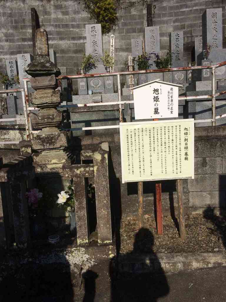 Img 6190.jpg m