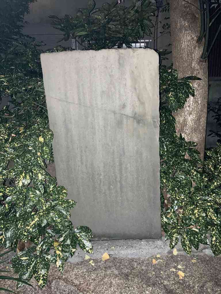 B0333053 65f7 4d4b b56d 017e2765743c.jpeg m