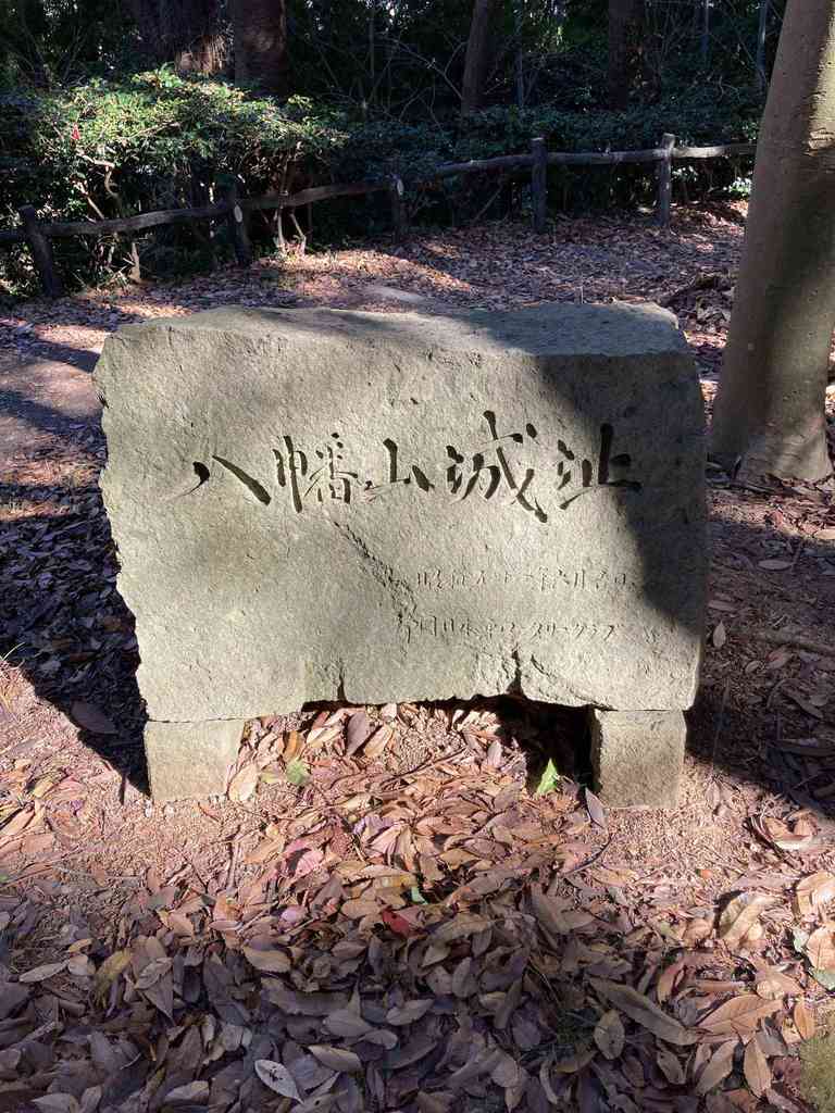 800d2f7c 557a 4ce9 9a53 a4bf50c78e63.jpeg m