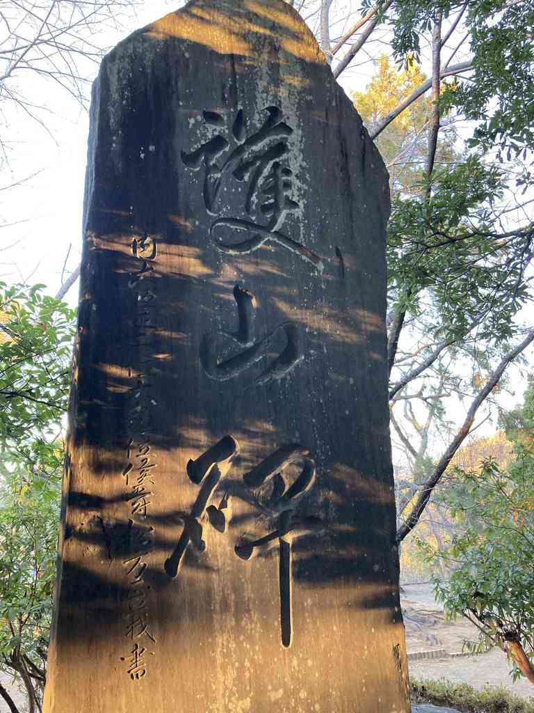 D8ad65f0 83d7 438e b3e6 b5184406dfa4.jpeg m