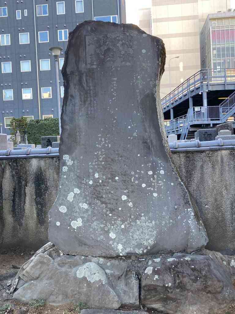 E45c6bf6 c548 480d b7b4 a7677f0460a2.jpeg m