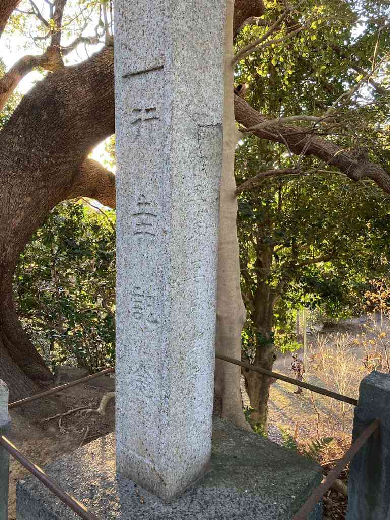 7f56035a 987b 43de ad5e 7c6d62d3b069.jpeg m